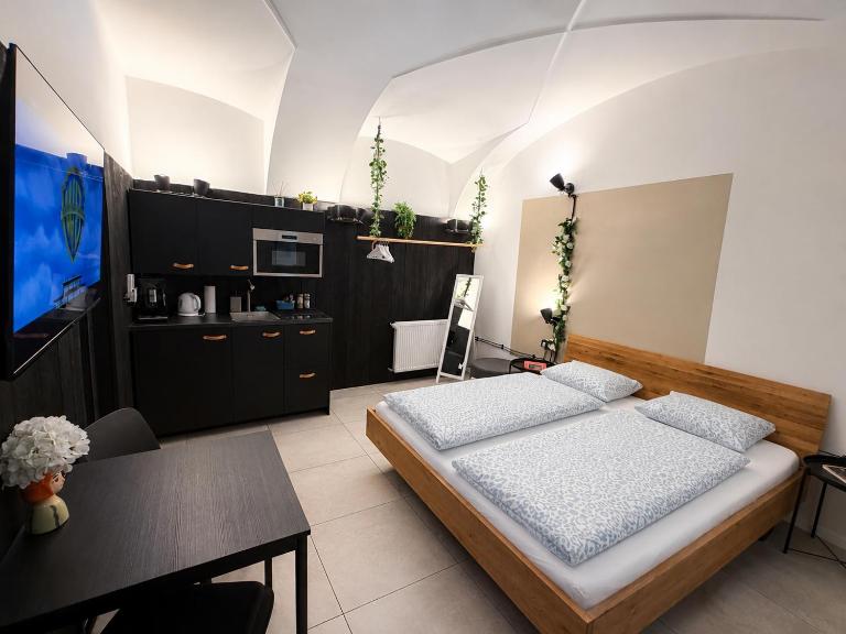 Bratislava Center Apartment 2 - Chambres d'hôtes Bratislava