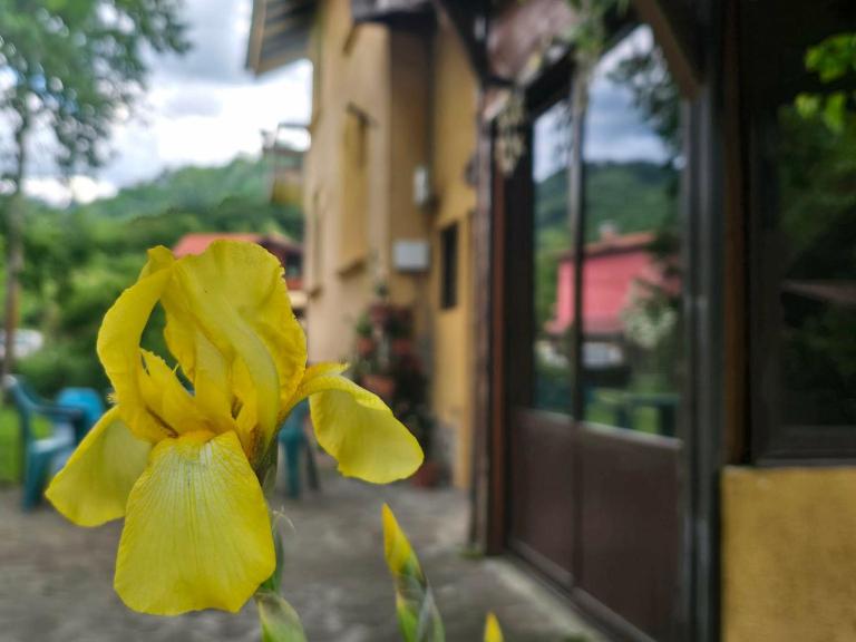 Villa Ribarica - B&B Ribaritsa