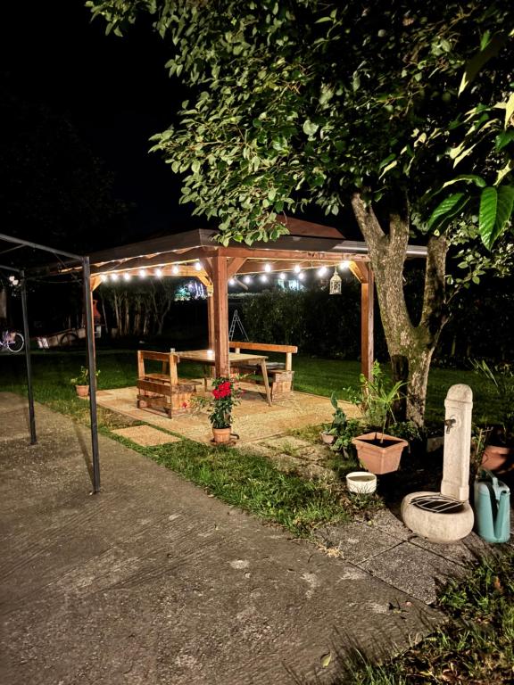 Villa d'Istria apartment- riserva naturale foce Tagliamento - B&B Bibione