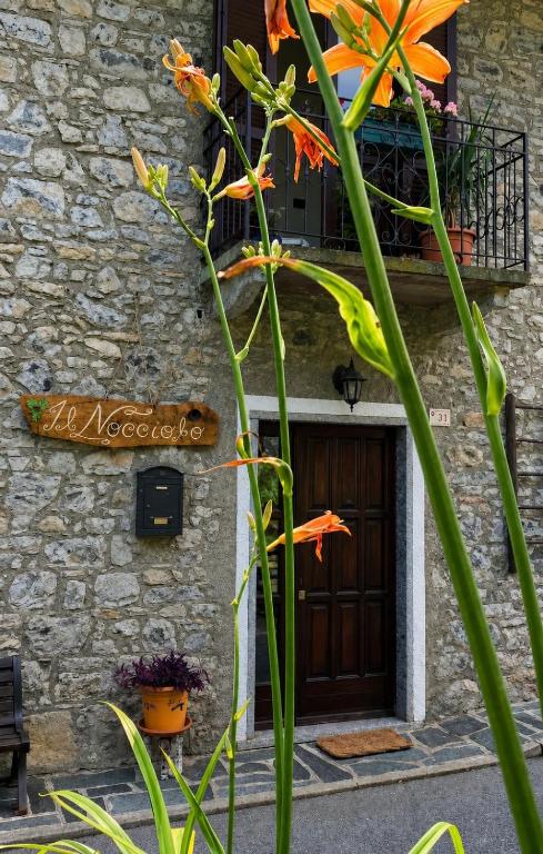 Il Nocciolo - B&B Grandola ed Uniti