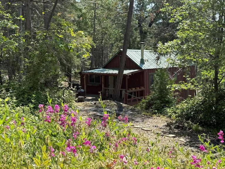 Little Cabin In The Woods in Camp Sierra & Big Creek - Ferienwohnung Big Creek