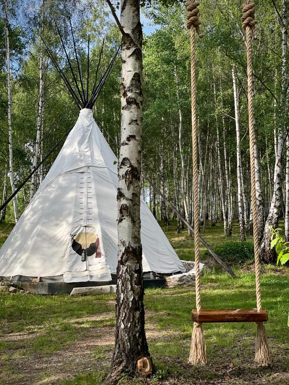 Bonair Tipi Village I Glamping - Bed and Breakfast Călăţele