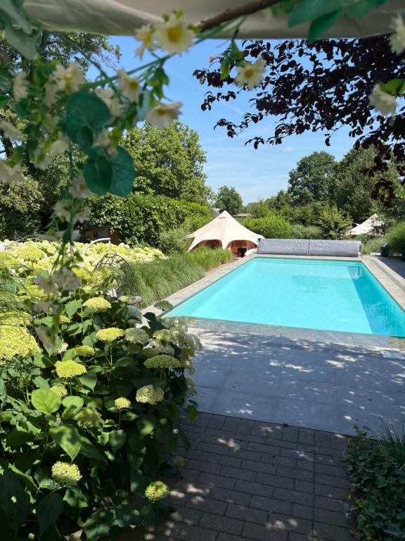Vakantievilla De Witte Merel voor groepen met zwembad & wellness - B&B Beringen