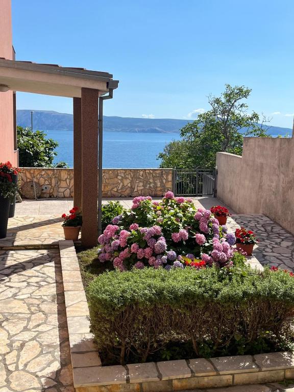 Apartmani Marko - B&B Novi Vinodolski