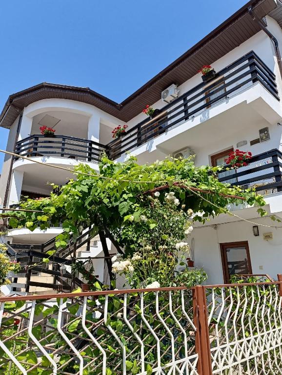 Vila Liliana - B&B Costineşti