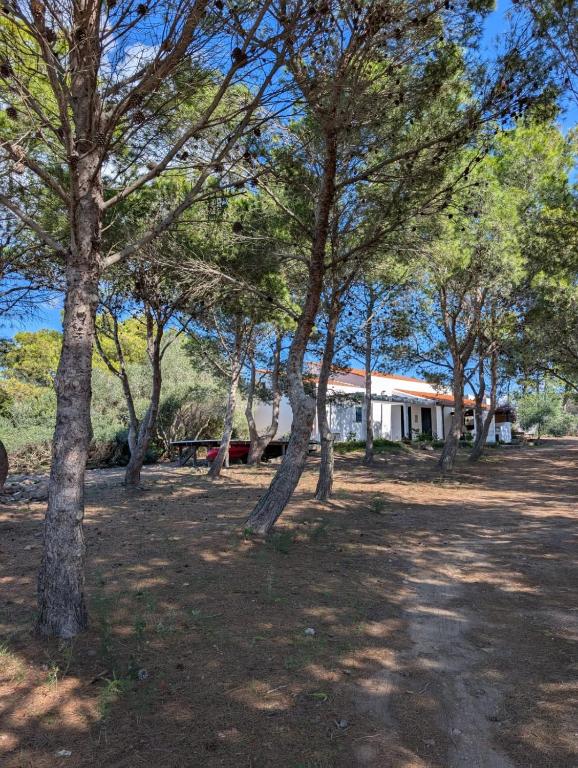 CountryLoft-LeMareediCarloforte - Chambres d'hôtes Carloforte