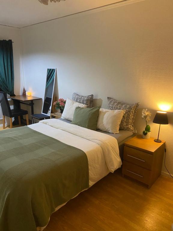 One-room Apartment in Gothenburg - B&B Gothenburg