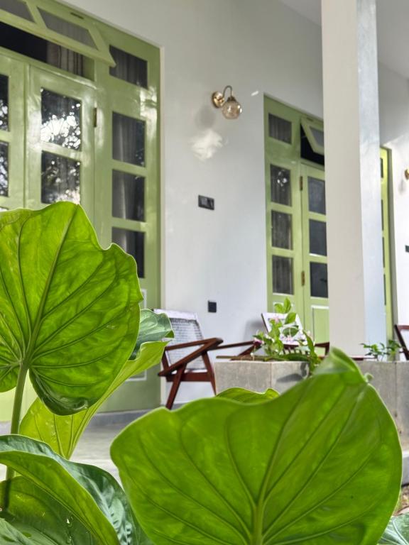 Manzara Mawella - B&B Tangalle