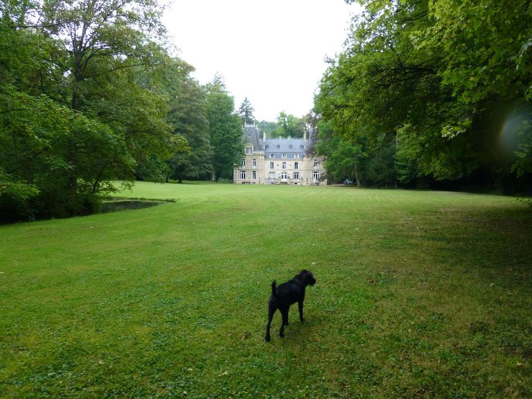 Chateau de la Raffe - Bed and Breakfast Naix-aux-Forges