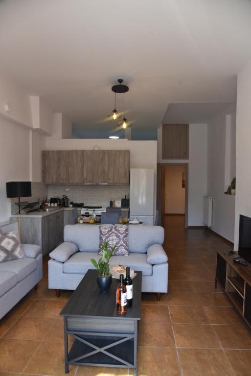 Fully renovated apartment-Trikala Agia Moni - B&B Tríkala
