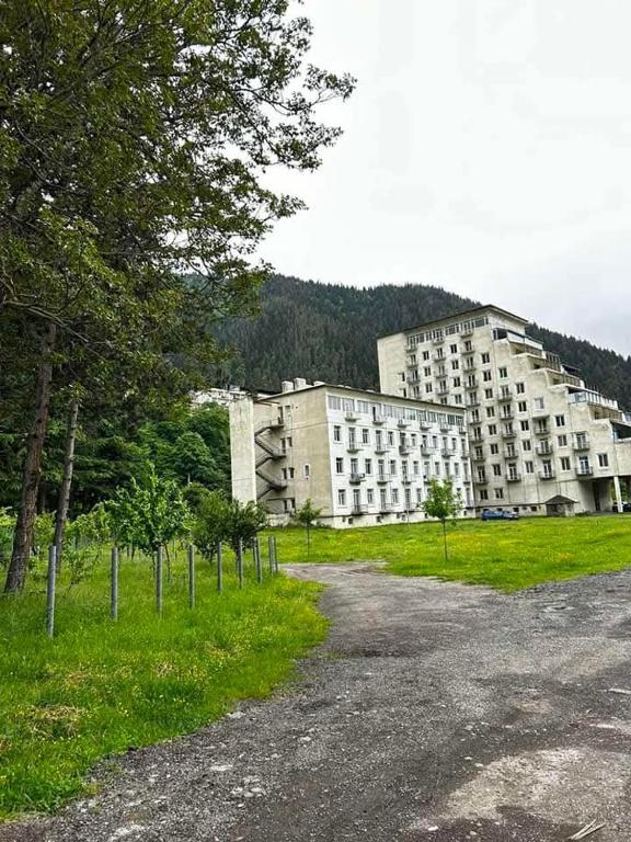Tamo's Apartment - B&B Borjomi
