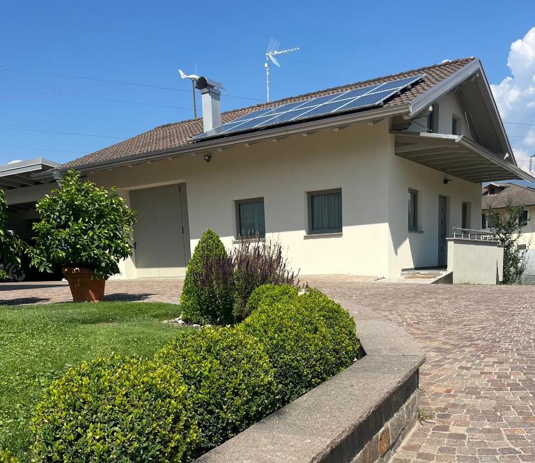 Mirtillo - B&B Tassullo