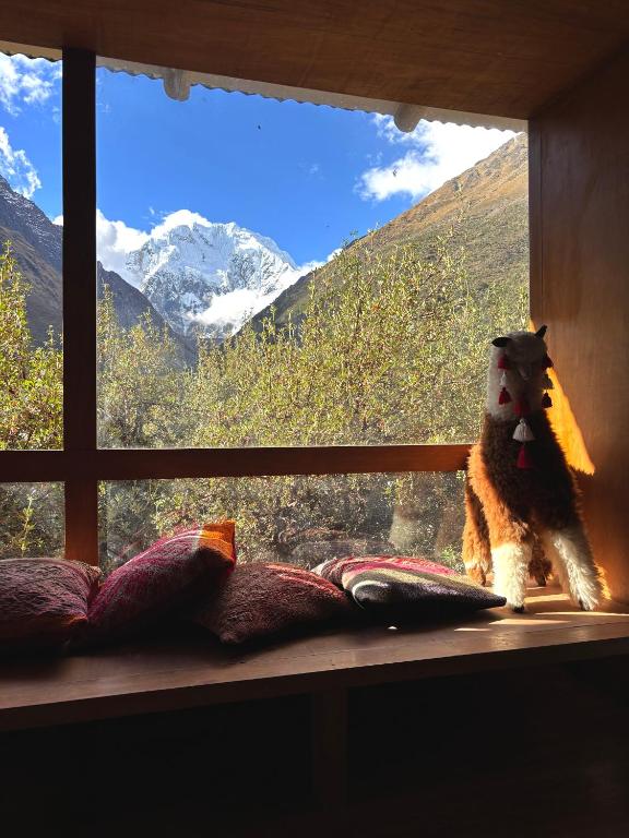 Machu Picchu Lodges - B&B Anta