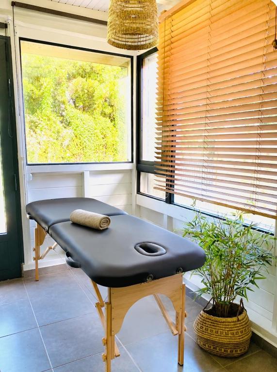 Villa cactus - B&B Goyave