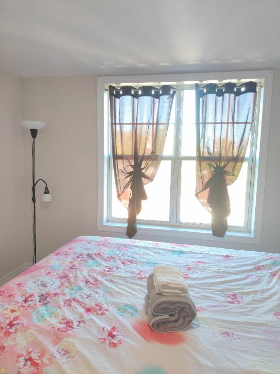 Central Light-Filled 3rd Floor -3C - B&B Halifax