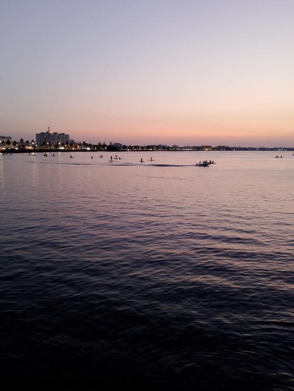 S1 Apartment Tunisia Mahdia Borj Erras 2 Minutes from Sea - Bed and Breakfast Mahdia
