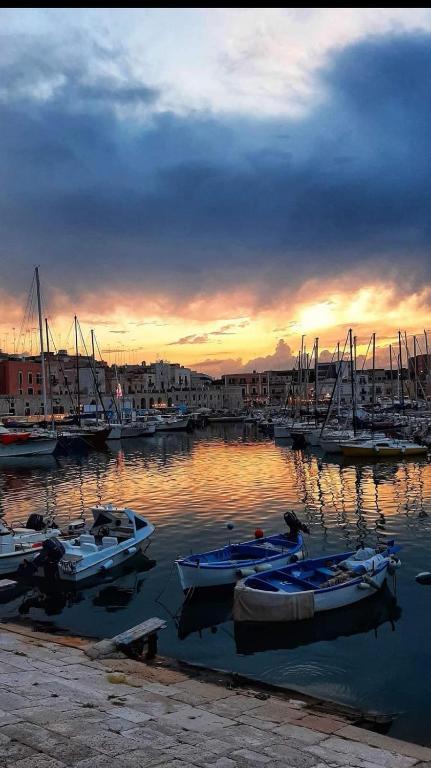 La dolce sosta - B&B Bisceglie