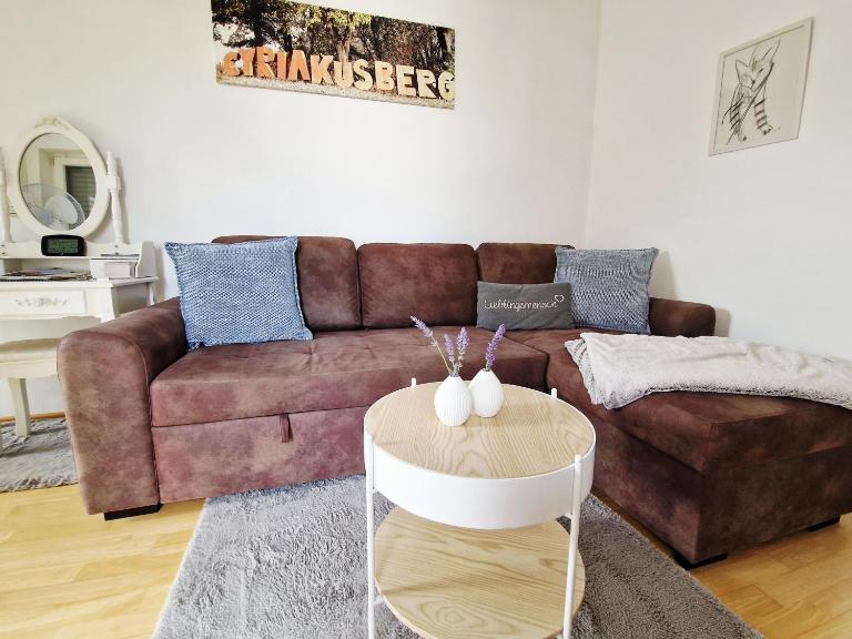Ferienwohnung Hornig Zwei Terrassen, Parkplatz, separater Eingang, xBox, WLan, Kaffee - B&B Sulzfeld am Main