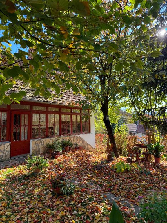Casa Szatina - B&B Kishajmás