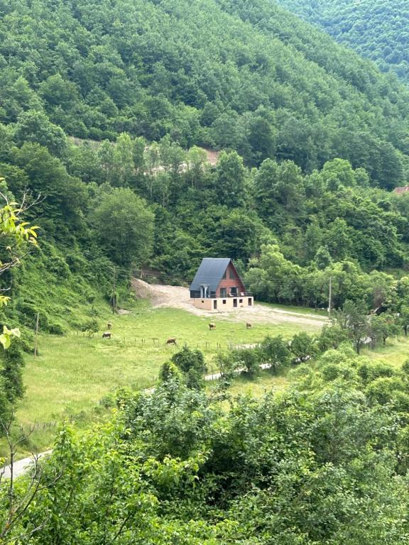 Hidden gem by the stream - B&B Plav