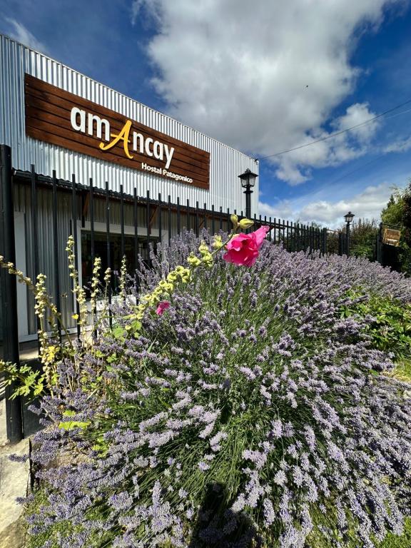 Amancay, Hostal Patagonico - B&B El Calafate