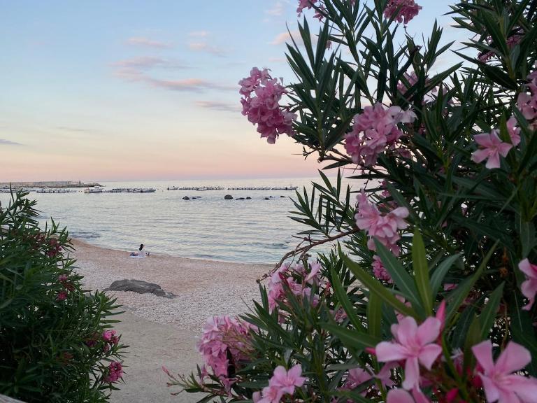 Maison Ilary Accogliente Casa Mare - B&B Cala Gonone