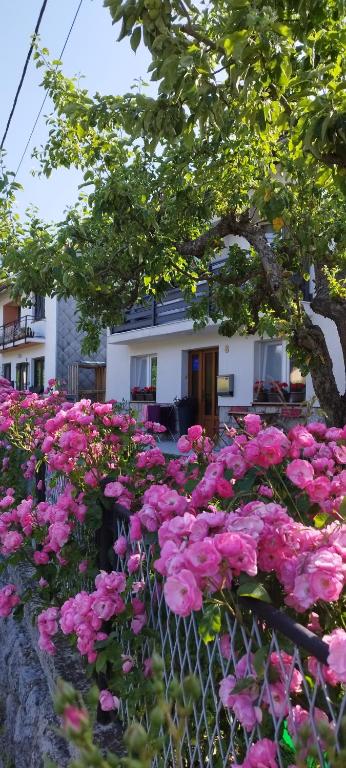 "Cattus" studio apartman - B&B Fužine