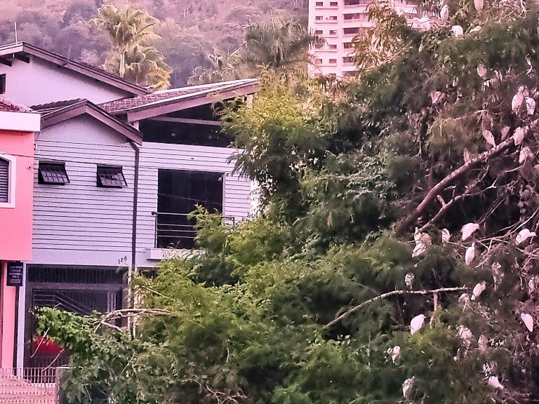 Casa Moderna bem no centro da Cidade de Socorro - Bed and Breakfast Socorro