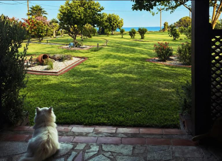 Nisaki Seafront Villa - Bed and Breakfast Kalamítsi