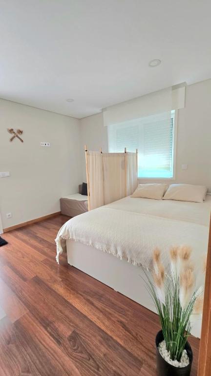 Vikings AL - B&B Areosa