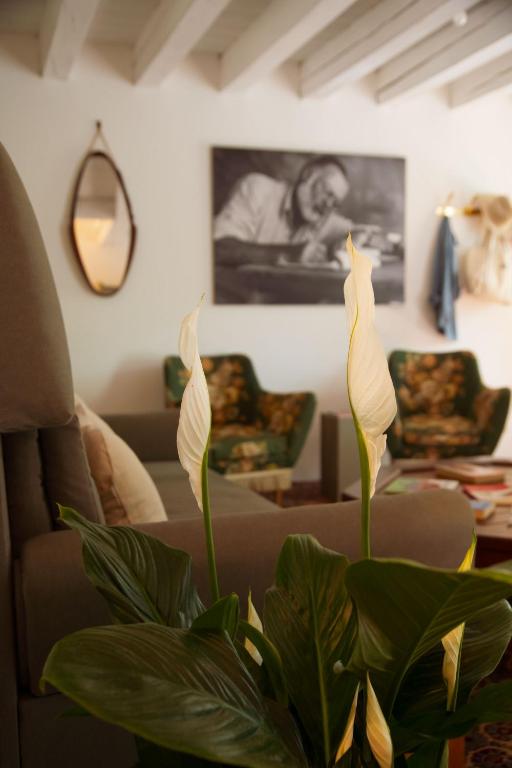 Locanda Hemingway - B&B Bassano del Grappa
