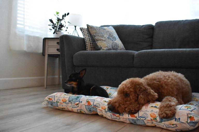 Pet-Friendly Cottage 15 Min to St Pete Beach - Ferienwohnung Saint Petersburg