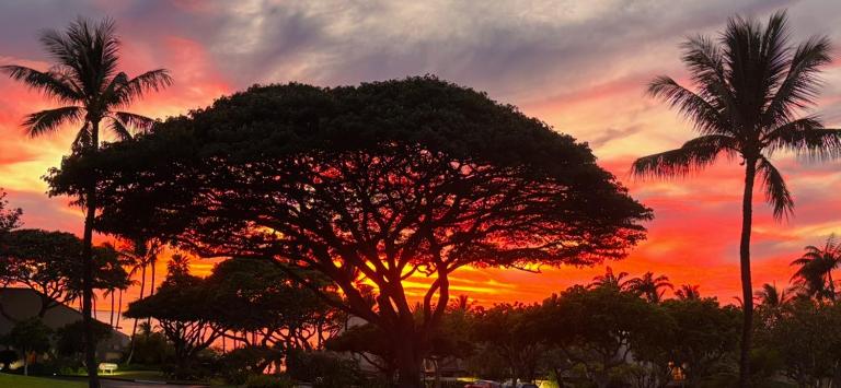 Maui Kamaole #I-106 Ground Flr, Garden View, A/C, Great Location - Ferienwohnung Wailea