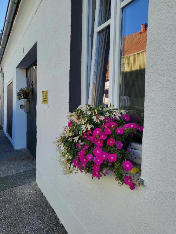 Holiday Home up to 5 Guests - B&B Fürstenfeld