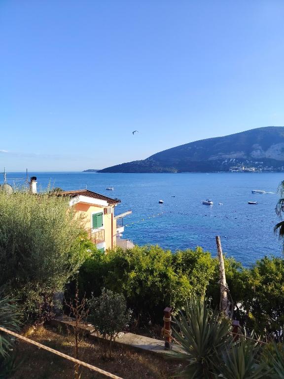 Apartman Mimoza - B&B Herceg Novi