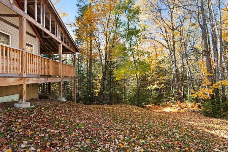 Rustic cabin near boating, fishing or hiking to the lake - dog-friendly - B&B Greenville