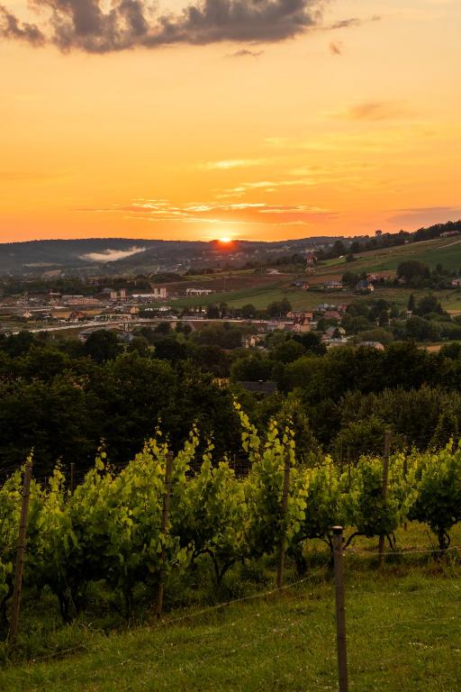 Domki Winnica Maria Anna - B&B Wyżne