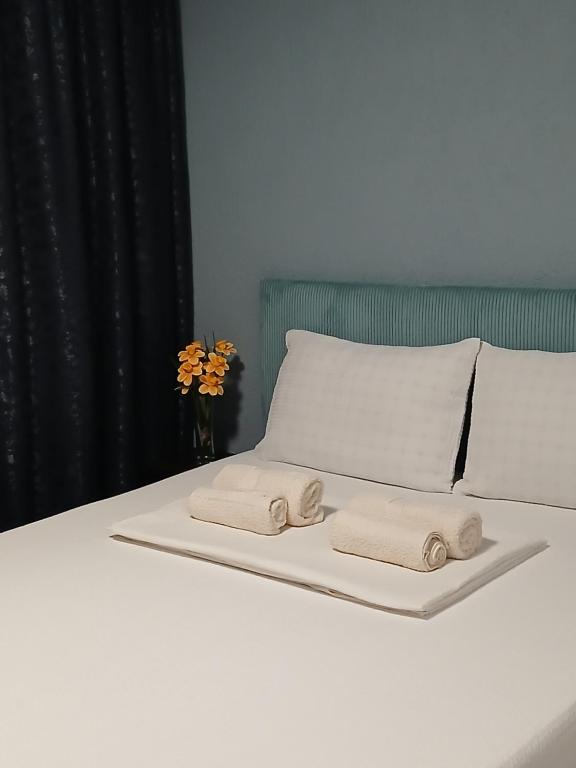 Apartament Stoian - B&B Costineşti