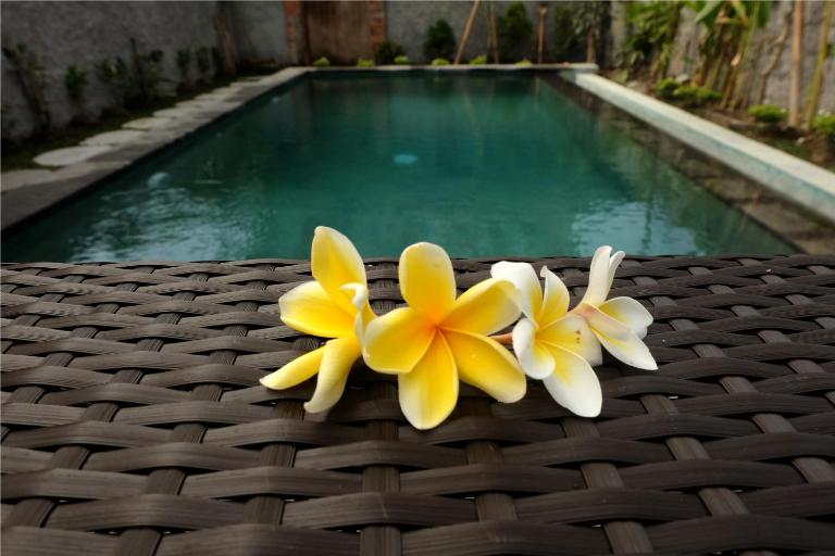 Eka Bali Guest House - Bed and Breakfast Ubud