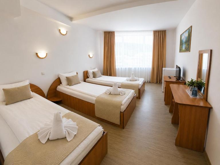 Pensiunea Moldova - B&B Piatra Neamt