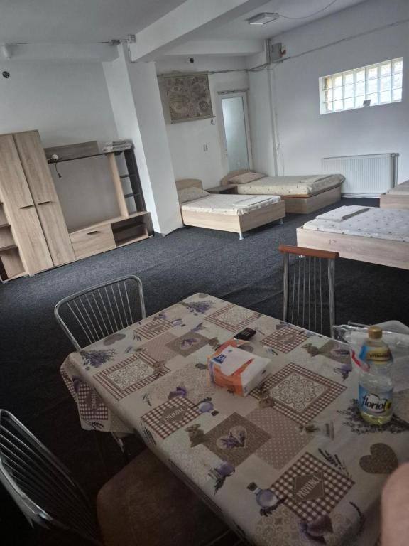 Romanescu Park Studio - B&B Craiova