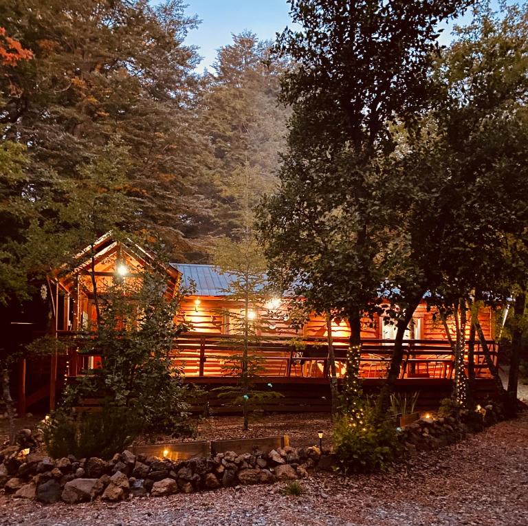 Termas de Chillán Family Cabin - B&B Recinto