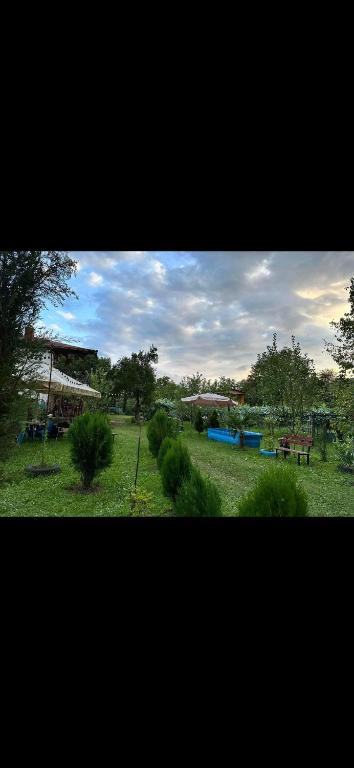 Otto's House - B&B Ambrolauri