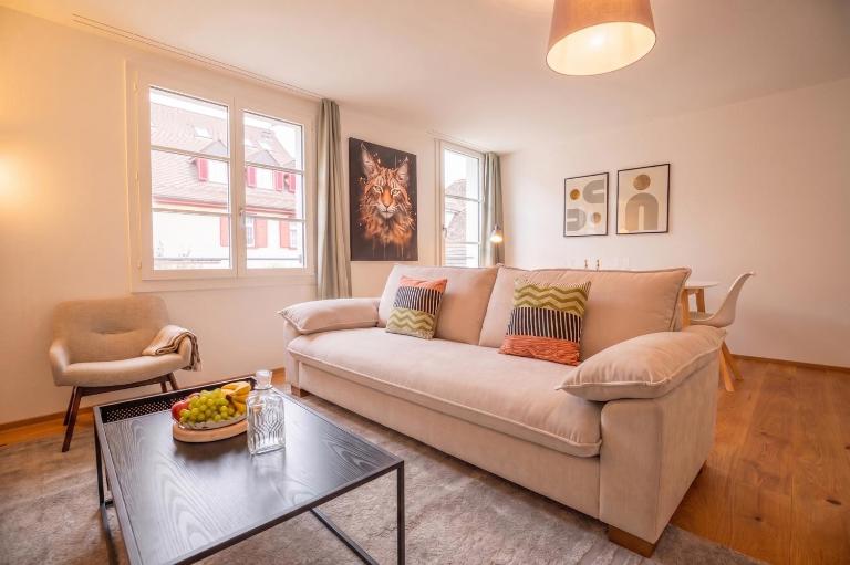 Modern Apartment in Central Basel near Rhine - Special TOP LUX 22 Apartment, up to 3 guests - B&B Basilea