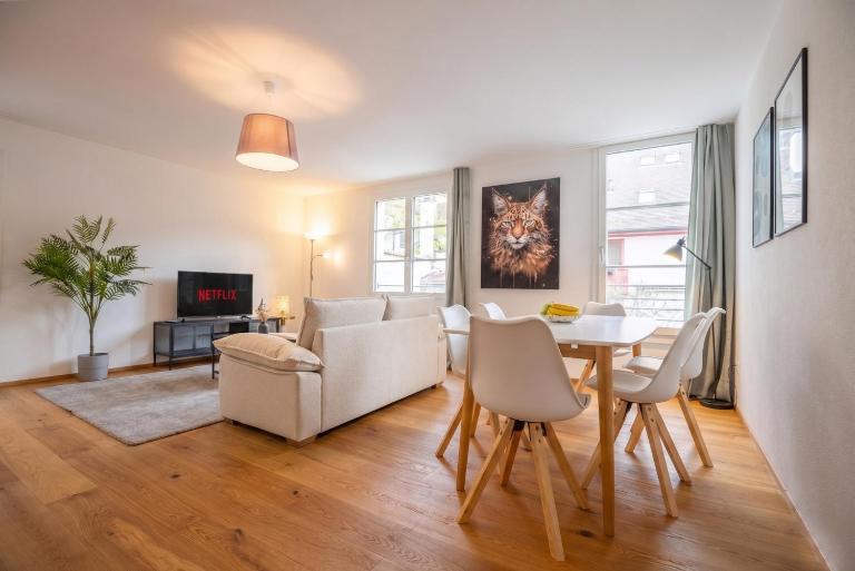 Modern Apartment in Central Basel near Rhine - Special TOP LUX 22 Apartment, up to 3 guests - Ferienwohnung Basel