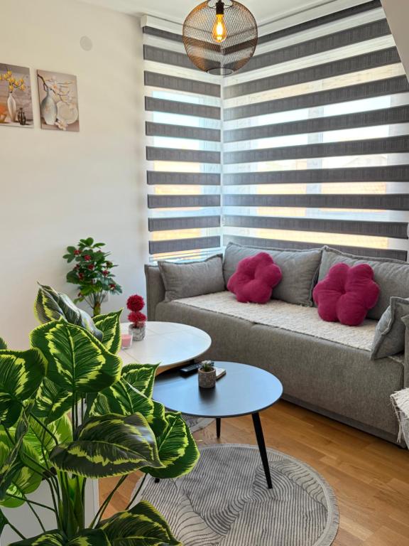 Jefimija Apartman Sokobanja - Chambres d'hôtes Soko Banja
