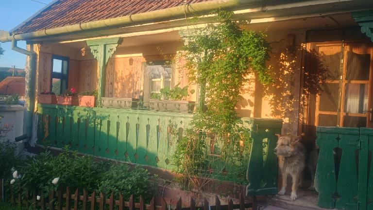 Stanciova Shura Stories farm stay - Ferienwohnung Stanciova