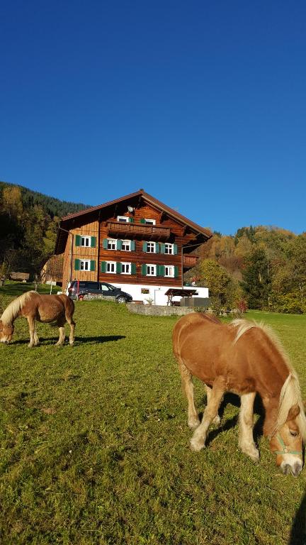 Haus Silke - Chambres d'hôtes Silbertal