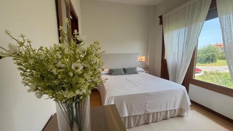 AP TXALUPA II - B&B Lieñas