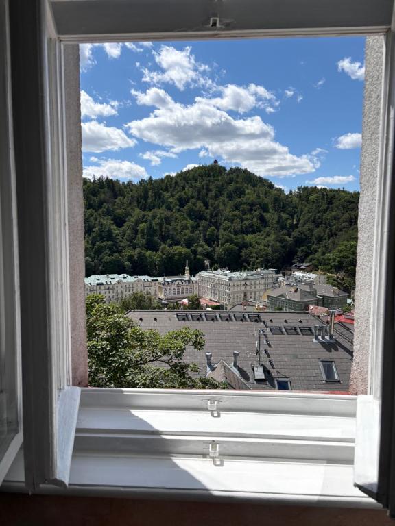 Zora Apartment with Grandhotel Pupp view - B&B Karlovy Vary
